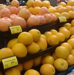 US-Obstpreise pro Pfund, Orangen