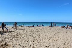 Que visiter à Sydney, Il y a des places gratuites sur la plage