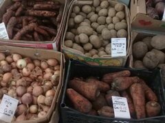 Lebensmittelpreise in Minsk, Belarus, Gemüse auf dem Markt