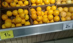 Kosten für Gemüse und Obst in Belgien, Orangen