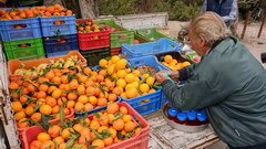 Lebensmittelpreise in Zypern, Obst auf dem Markt