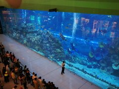 Attractions à Dubai, Aquarium de Dubai, vue libre