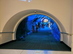 Attractions à Dubai, Tunnel dans l'aquarium de Dubai
