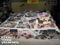 Fischpreise in Dubai, Fisch