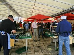 Prix des denrées alimentaires à Trogir (Croatie), Marché aux poissons