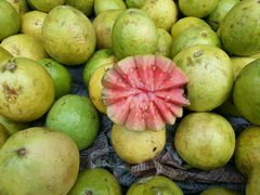 prix des fruits en Inde, goyave rouge