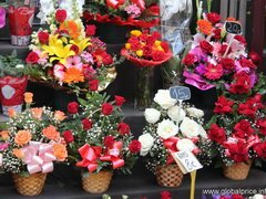 Preise in Barcelona für Souvenirs, Blumen auf den Ramblas