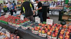 Lebensmittelpreise auf dem Markt von Toronto, Erdbeeren und Pfirsiche