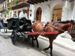 Loisirs à Cartagena, Prix des excursions en calèche