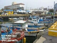 Fischereischoner, Jeju, Südkorea, Kann Fischfang organisieren