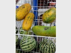 Prix des aliments aux Maldives, Melons et pastèques