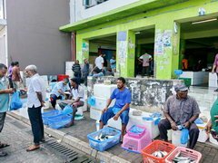 Lebensmittelpreise auf den Malediven, Fischhändler