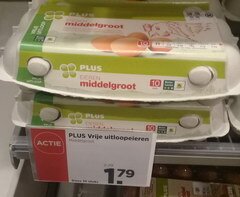 Prix des supermarchés à Amsterdam aux Pays-Bas, Oeufs