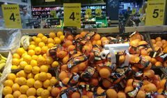 Prix des aliments en Pologne dans les magasins, oranges