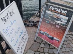 Prix des divertissements à Stockholm, promenade en bateau rapide