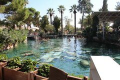 Excursions en Turquie, La piscine de Cléopâtre à Pamukkale