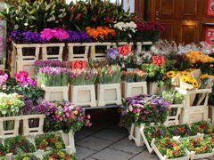 Preise für Souvenirs in Schweden in Stockholm, Blumen
