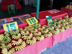 Thailand,Chiang Mai, Obstpreise auf den Märkten, Kleine Bananen